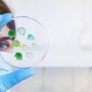 Molecular Biology Kits